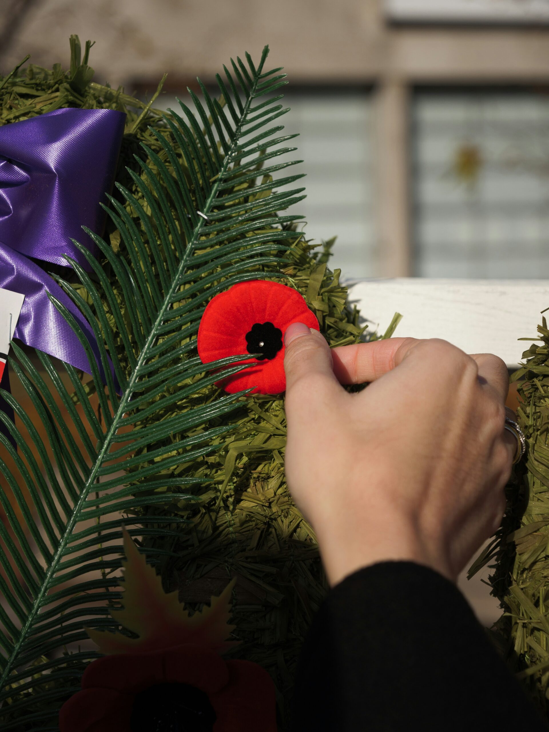 Remembrance Day Learning & Craft