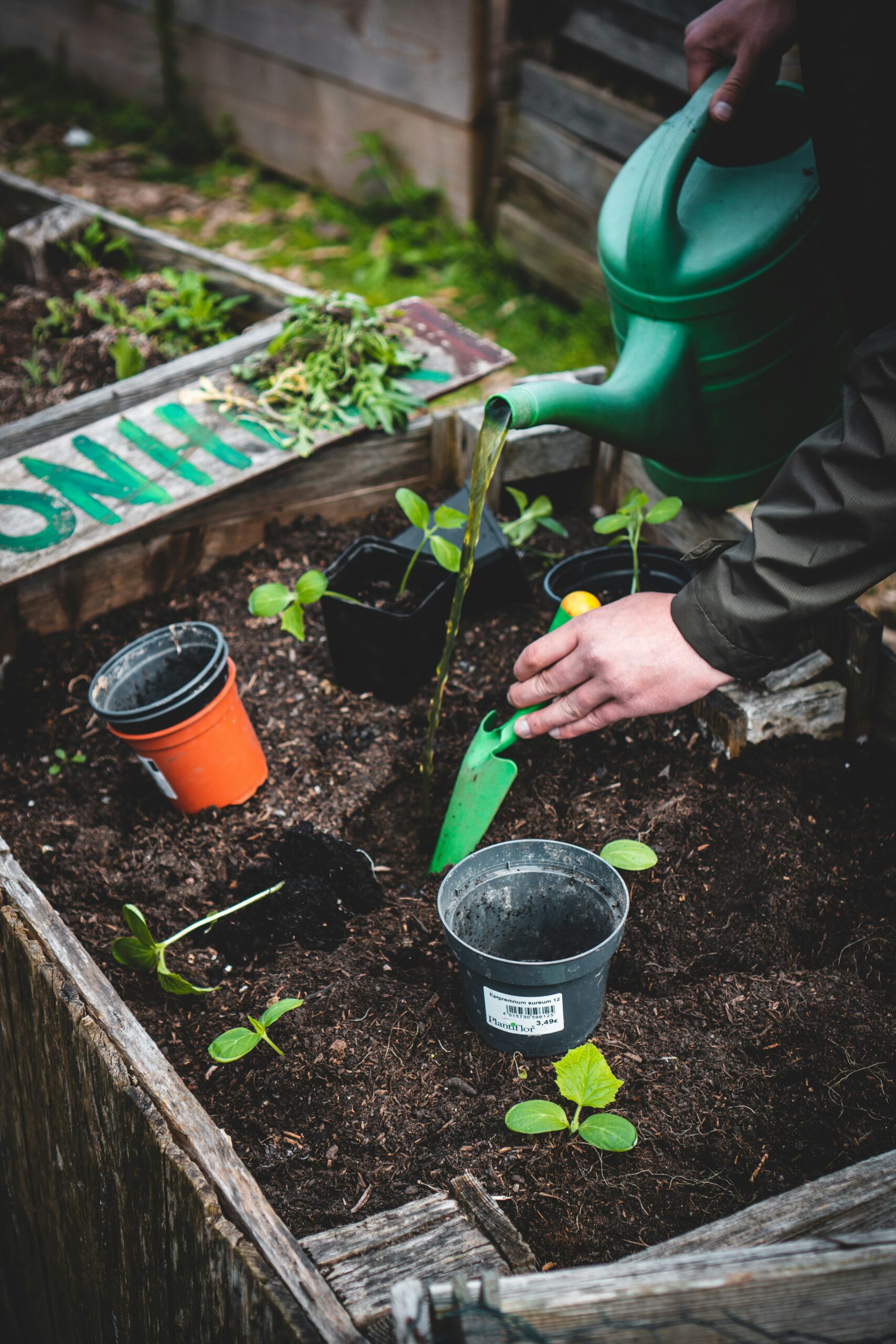 A child performing gardening work with the plants and soil